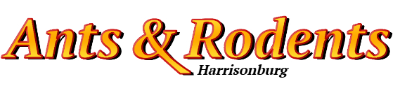 Harrisonburg Ant Exterminator & Rodent Control Company Logo